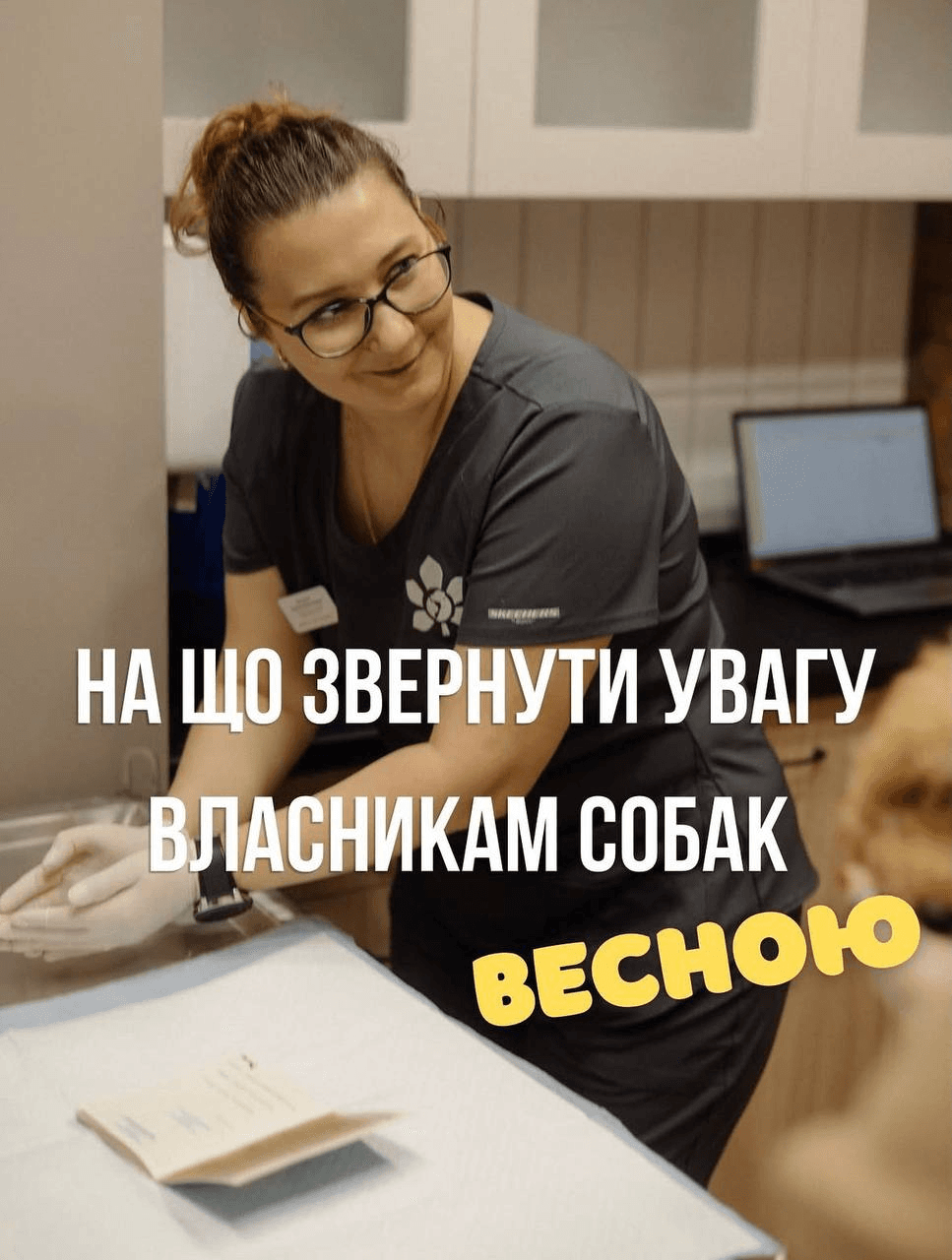 Допис клініки KYIV VET PODIL в Instagram